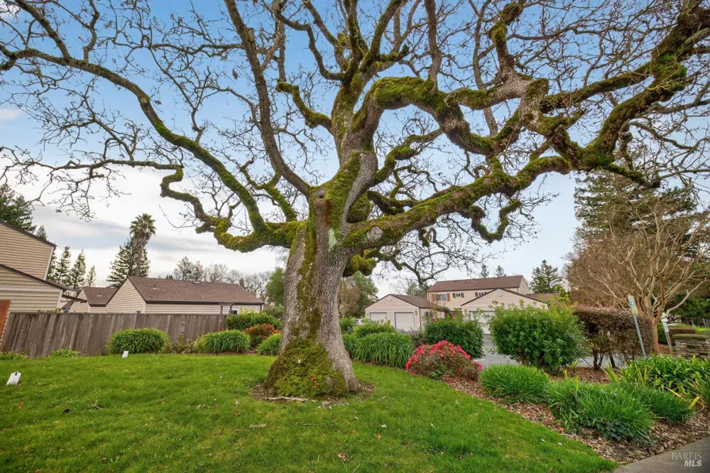 1600 Yardley Street Santa Rosa, CA 95403