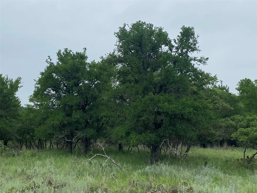 3040 Cutter Circle May, TX 76857