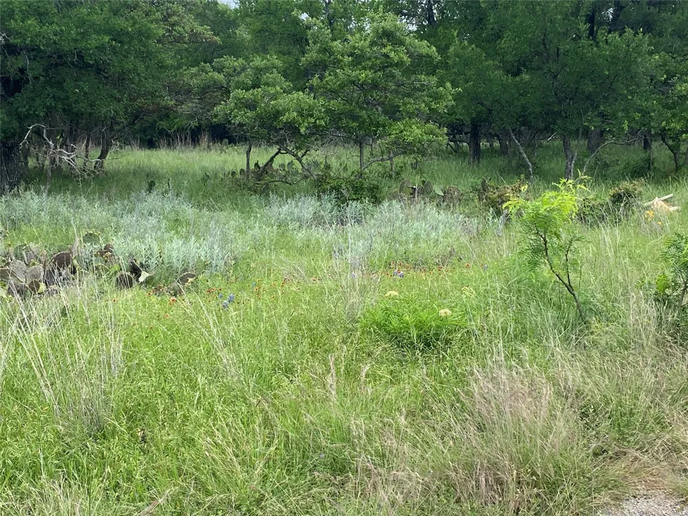 3040 Cutter Circle May, TX 76857
