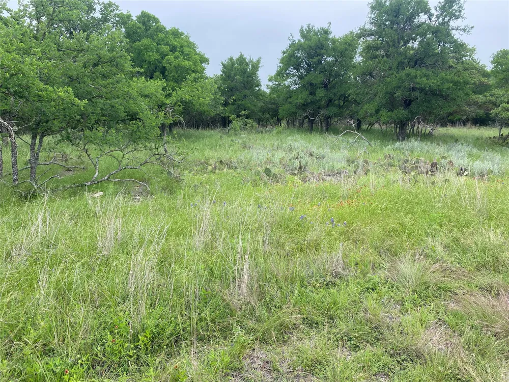3040 Cutter Circle May, TX 76857