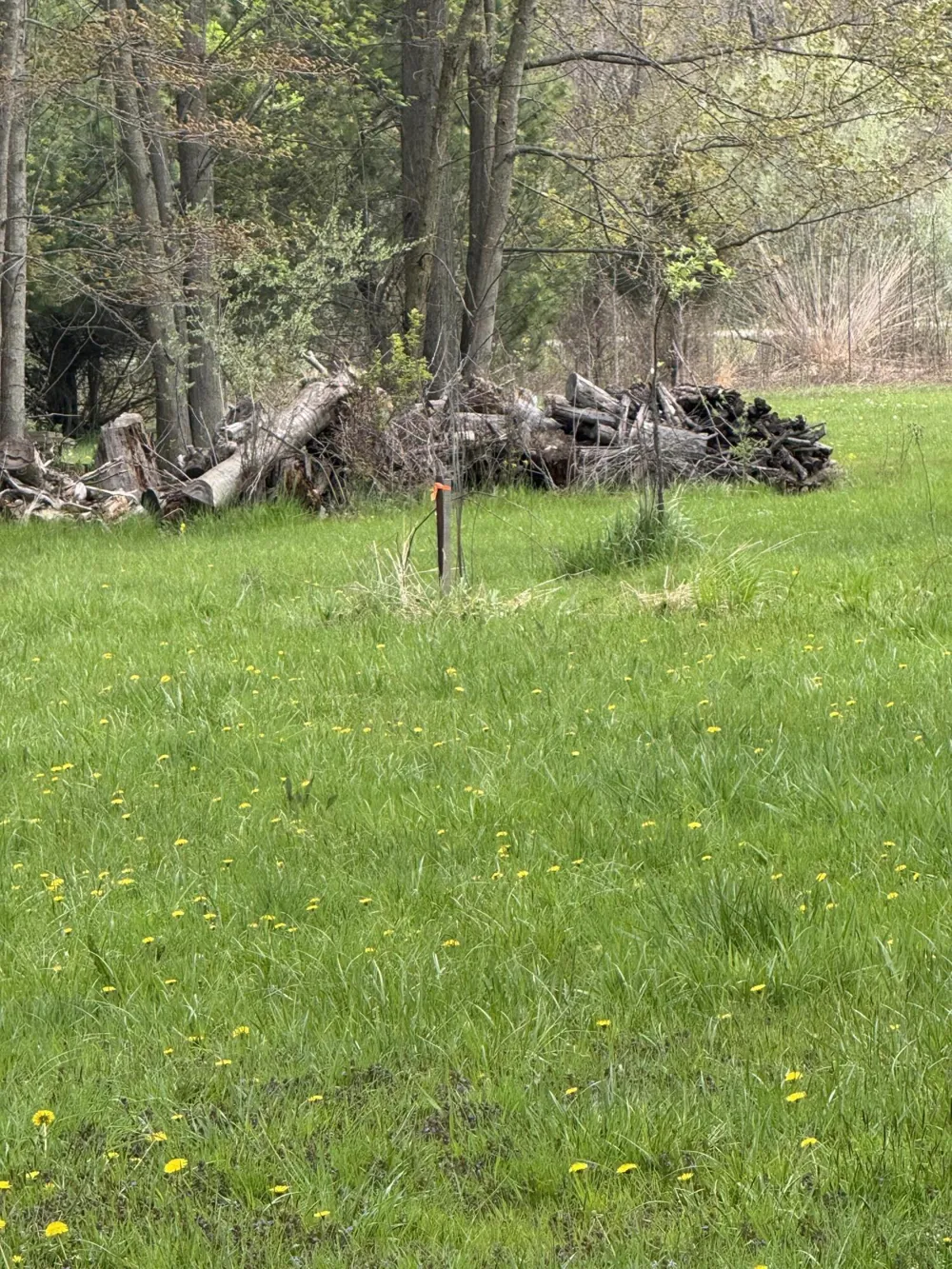 5753 Kaegeler Avenue Coloma, MI 49038