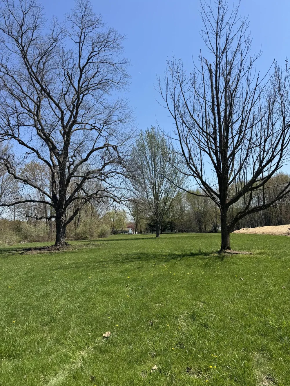 5753 Kaegeler Avenue Coloma, MI 49038