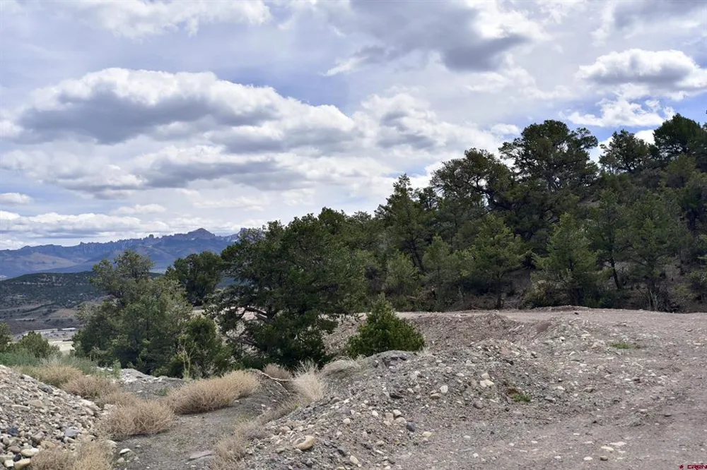62 Highway Ridgway, CO 81432
