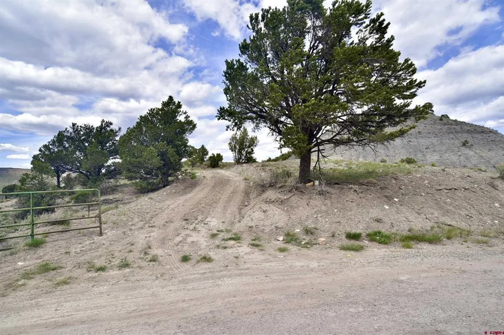 62 Highway Ridgway, CO 81432