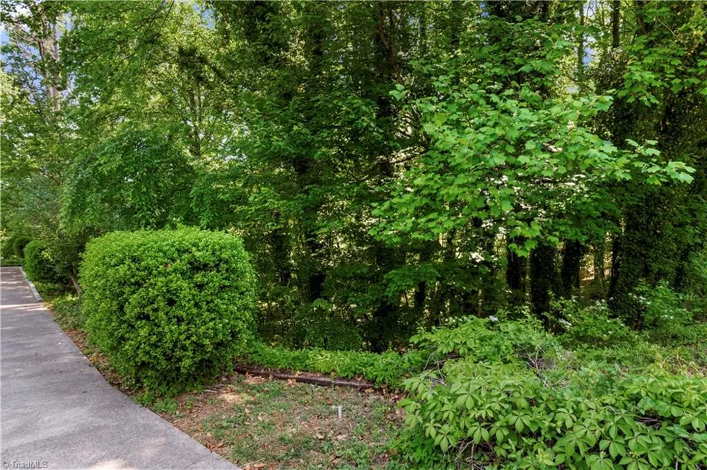 2595 Mount Salem Road Pfafftown, NC 27040