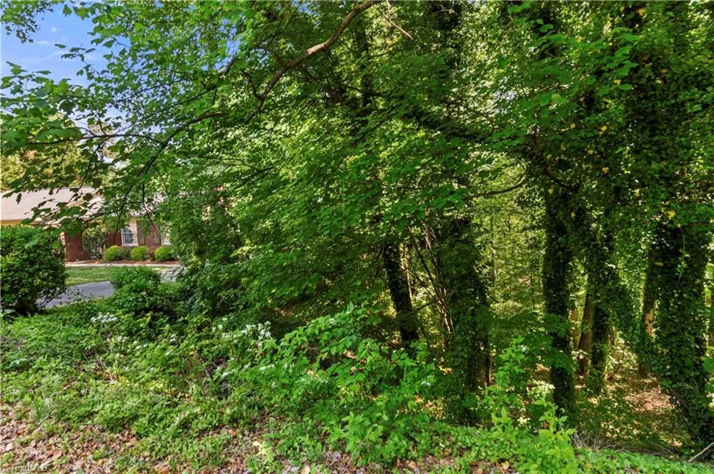 2595 Mount Salem Road Pfafftown, NC 27040