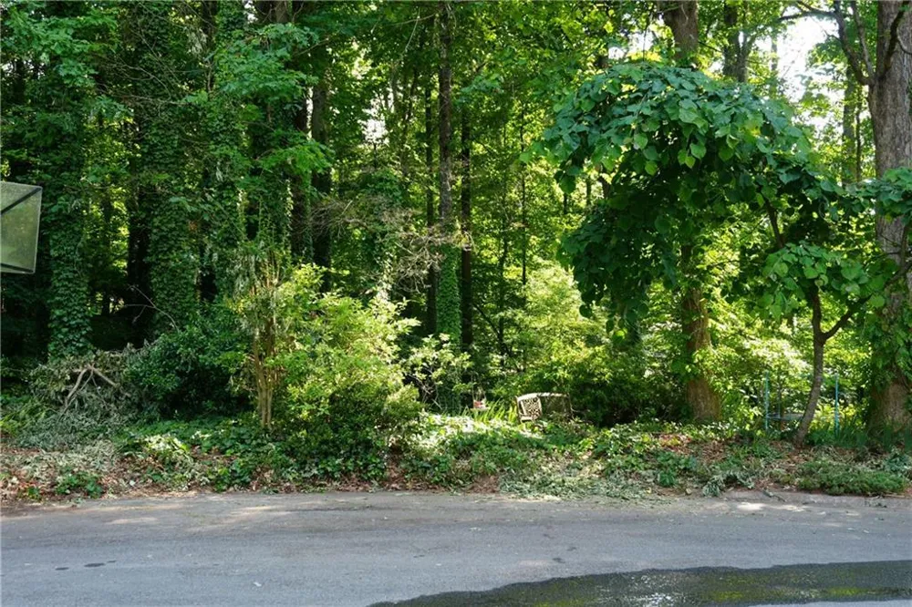 739 Slew Avenue Lawrenceville, GA 30043