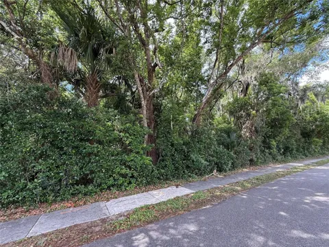 TBD KING AVENUE