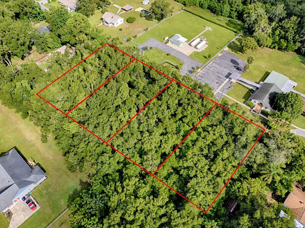 TBD KING AVENUE Zellwood, FL 32798