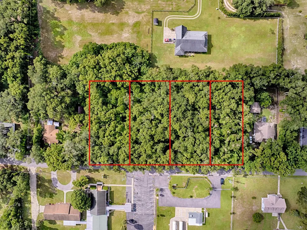 TBD KING AVENUE Zellwood, FL 32798