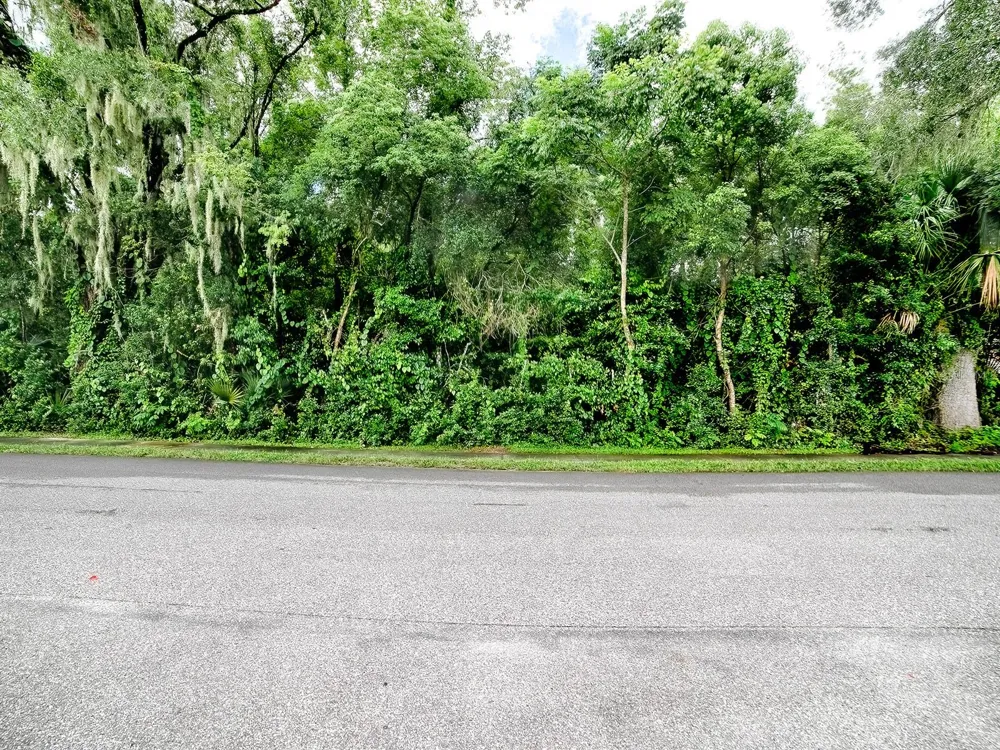 TBD KING AVENUE Zellwood, FL 32798