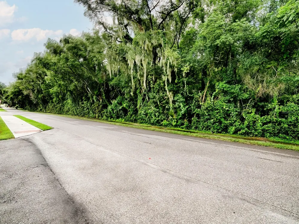 TBD KING AVENUE Zellwood, FL 32798
