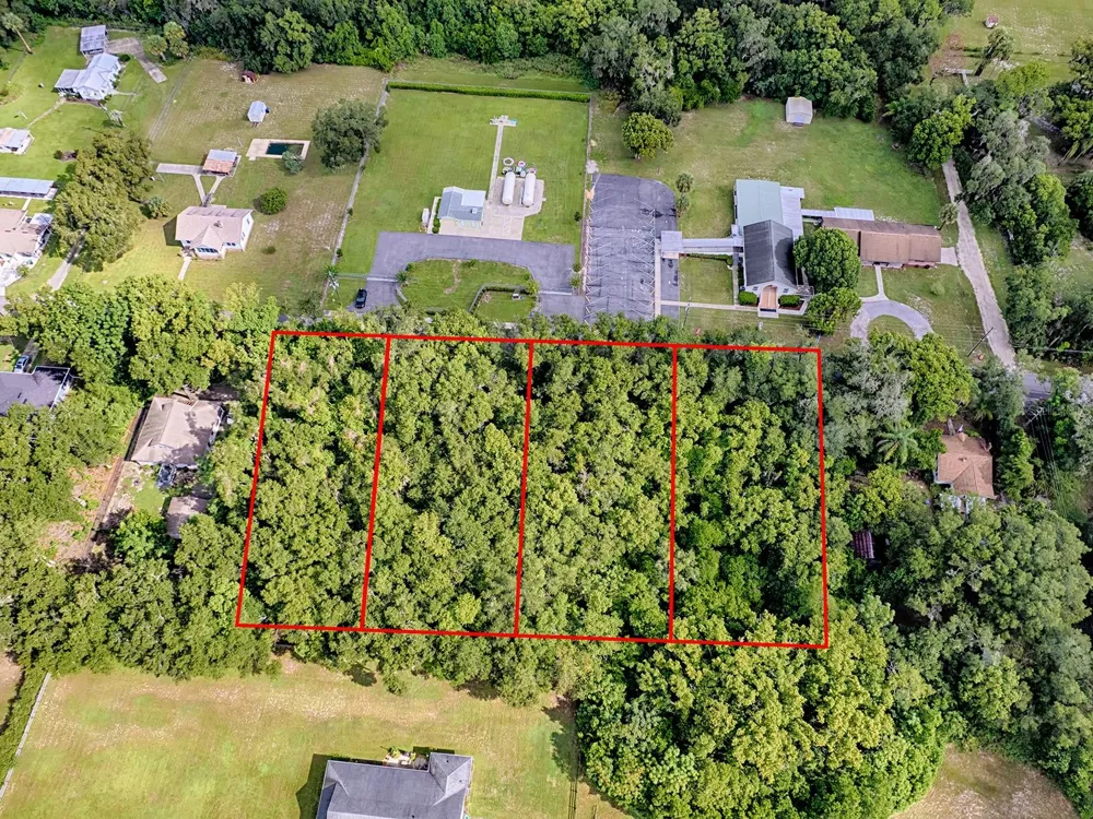 TBD KING AVENUE Zellwood, FL 32798