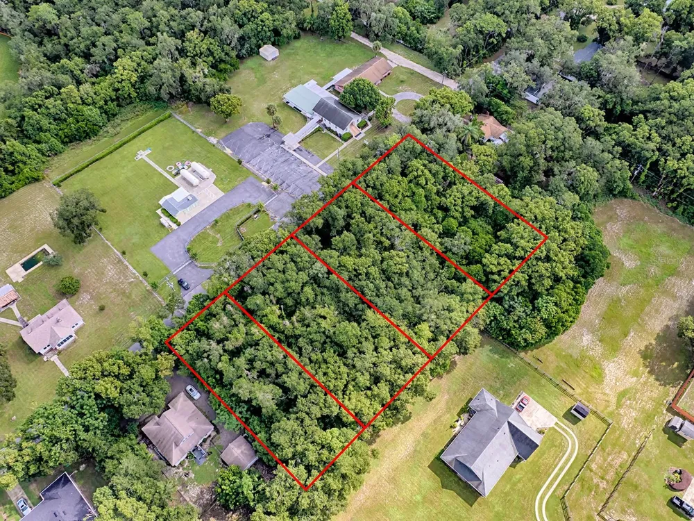 TBD KING AVENUE Zellwood, FL 32798