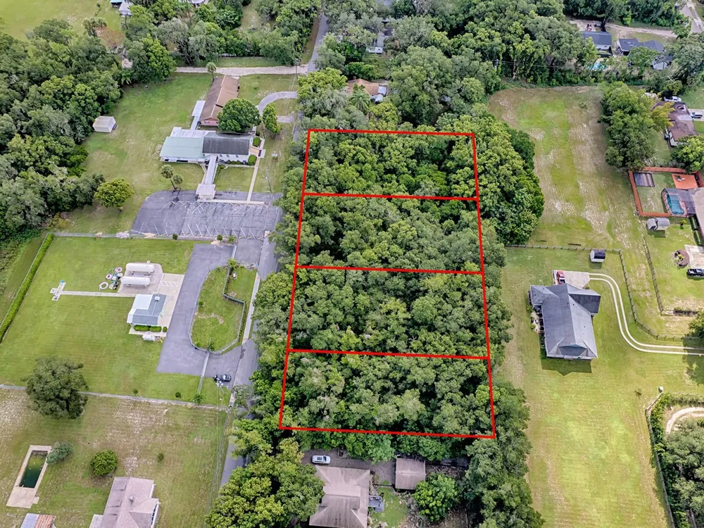 TBD KING AVENUE Zellwood, FL 32798
