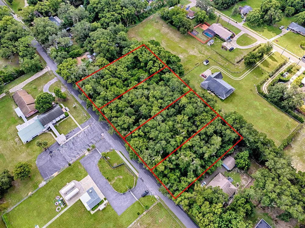 TBD KING AVENUE Zellwood, FL 32798