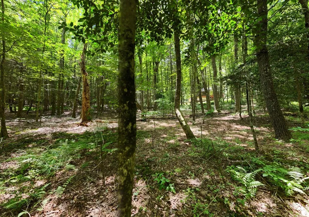 550 Watson Road Epworth, GA 30541