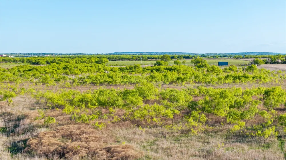 County Road 250 Clyde, TX 79510