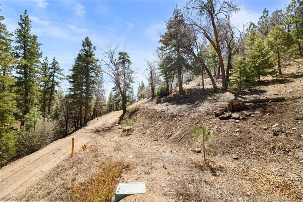 1286 Fawnskin Drive Fawnskin, CA 92333