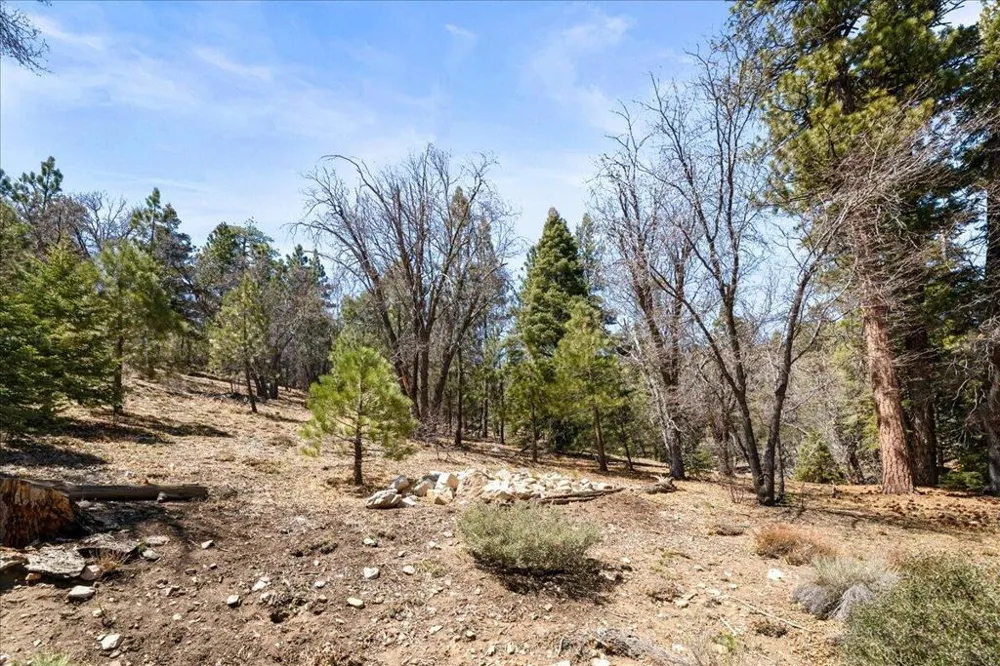 1286 Fawnskin Drive Fawnskin, CA 92333