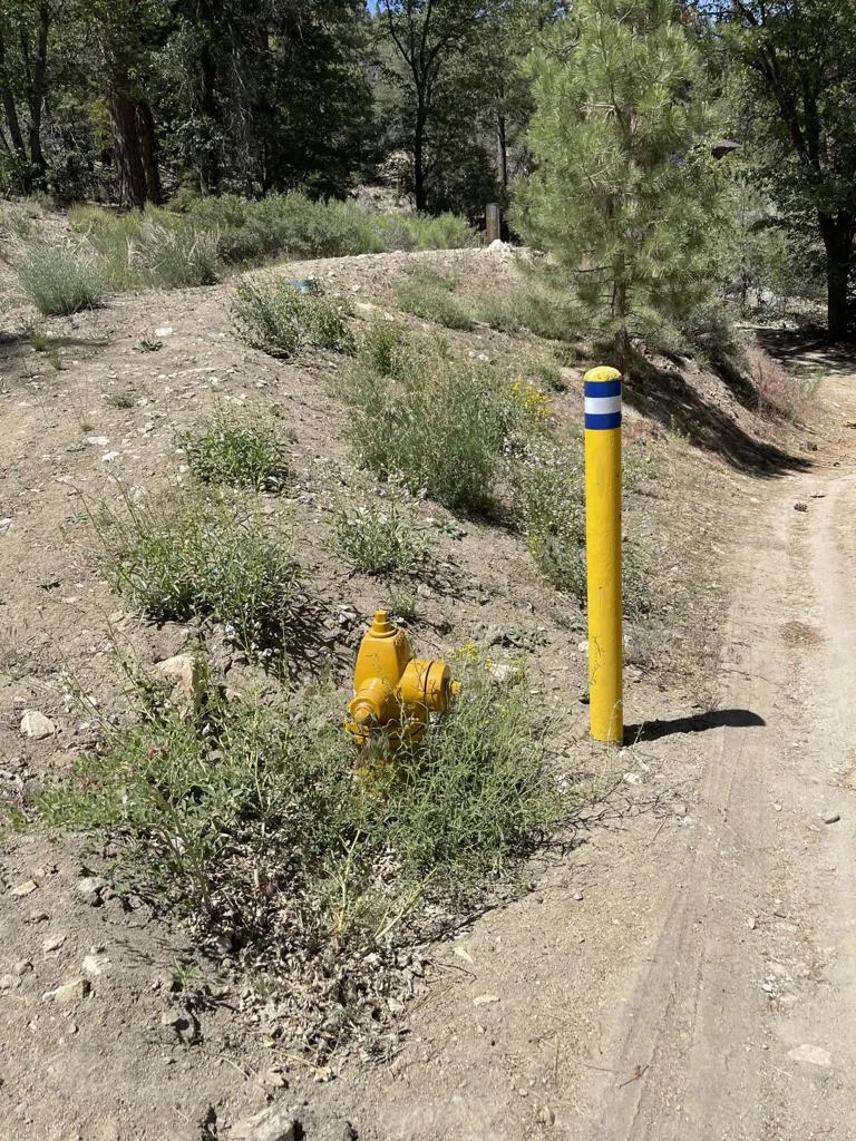 1286 Fawnskin Drive Fawnskin, CA 92333