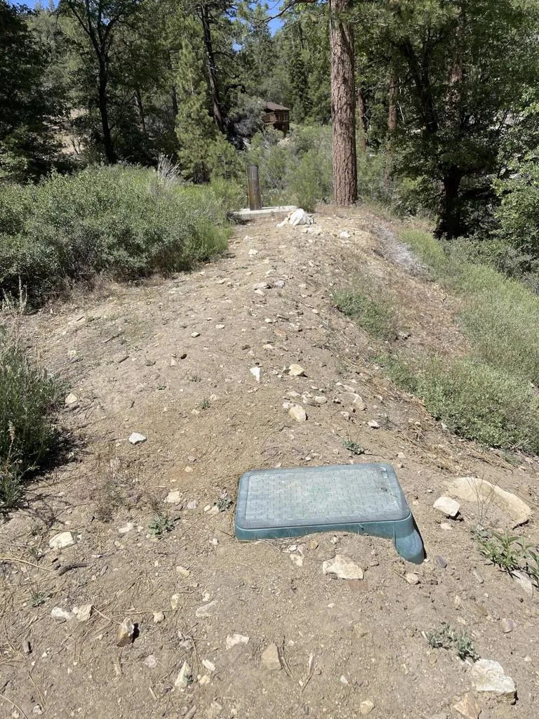 1286 Fawnskin Drive Fawnskin, CA 92333