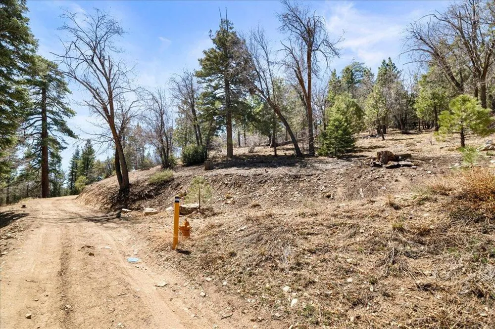 1286 Fawnskin Drive Fawnskin, CA 92333