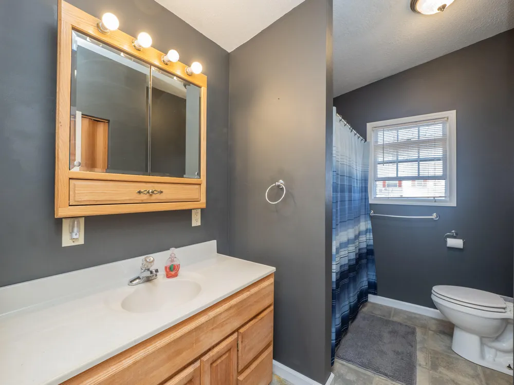 11915 Lakeway Street Prairieville Township, MI 49080