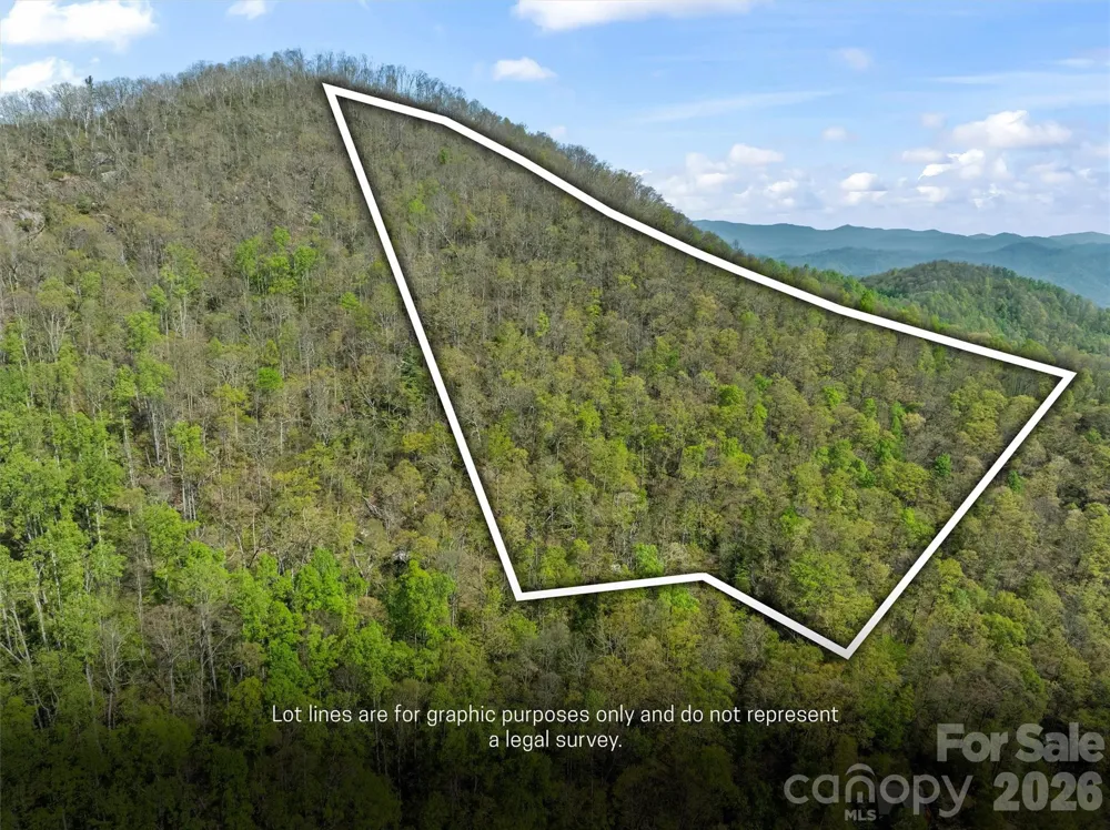 21 Reillys Bluff Road #1 Barnardsville, NC 28709