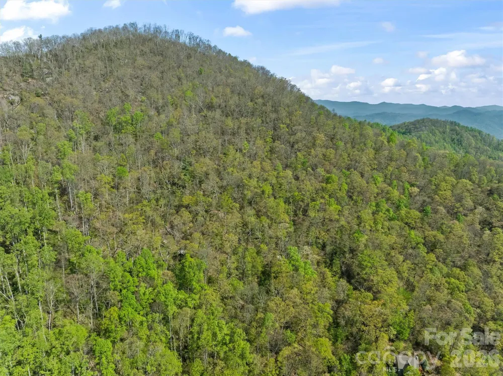 21 Reillys Bluff Road #1 Barnardsville, NC 28709