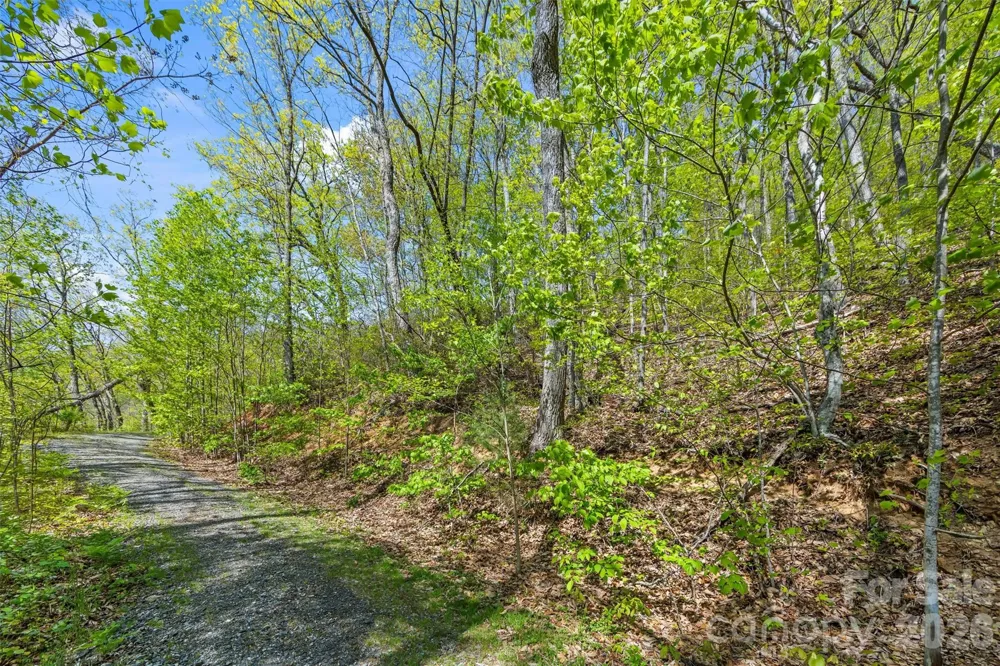 21 Reillys Bluff Road #1 Barnardsville, NC 28709