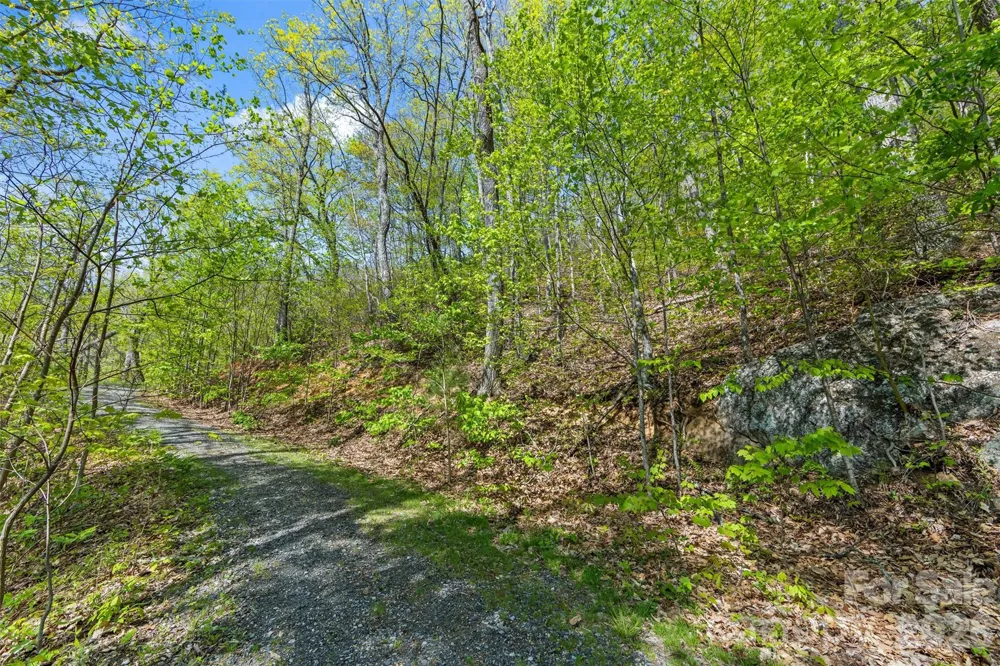21 Reillys Bluff Road #1 Barnardsville, NC 28709