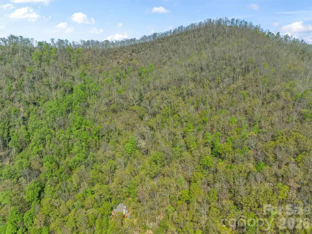 21 Reillys Bluff Road #1 Barnardsville, NC 28709