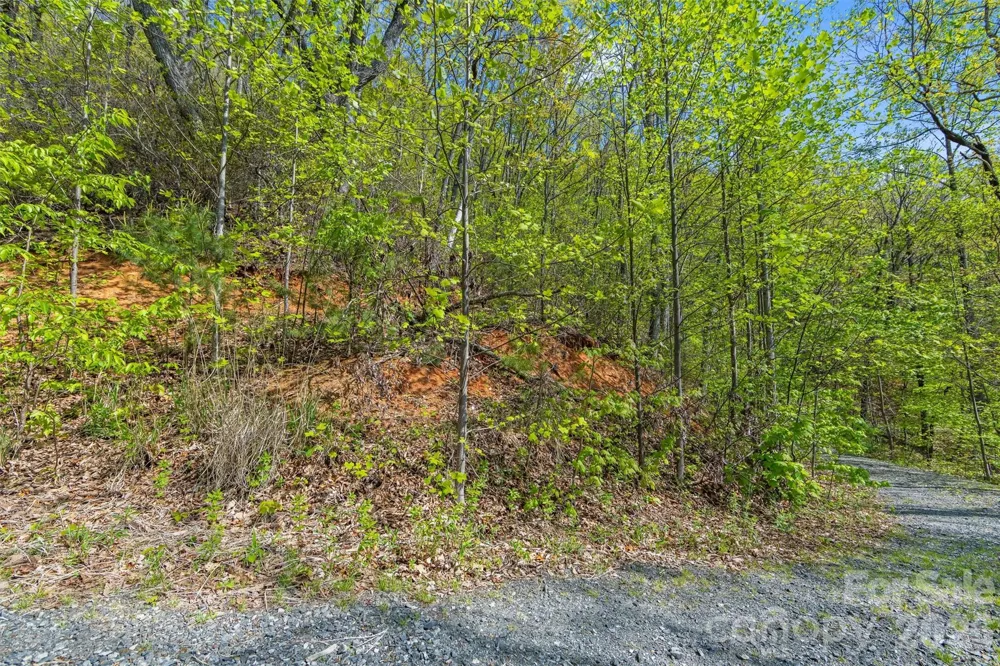 21 Reillys Bluff Road #1 Barnardsville, NC 28709