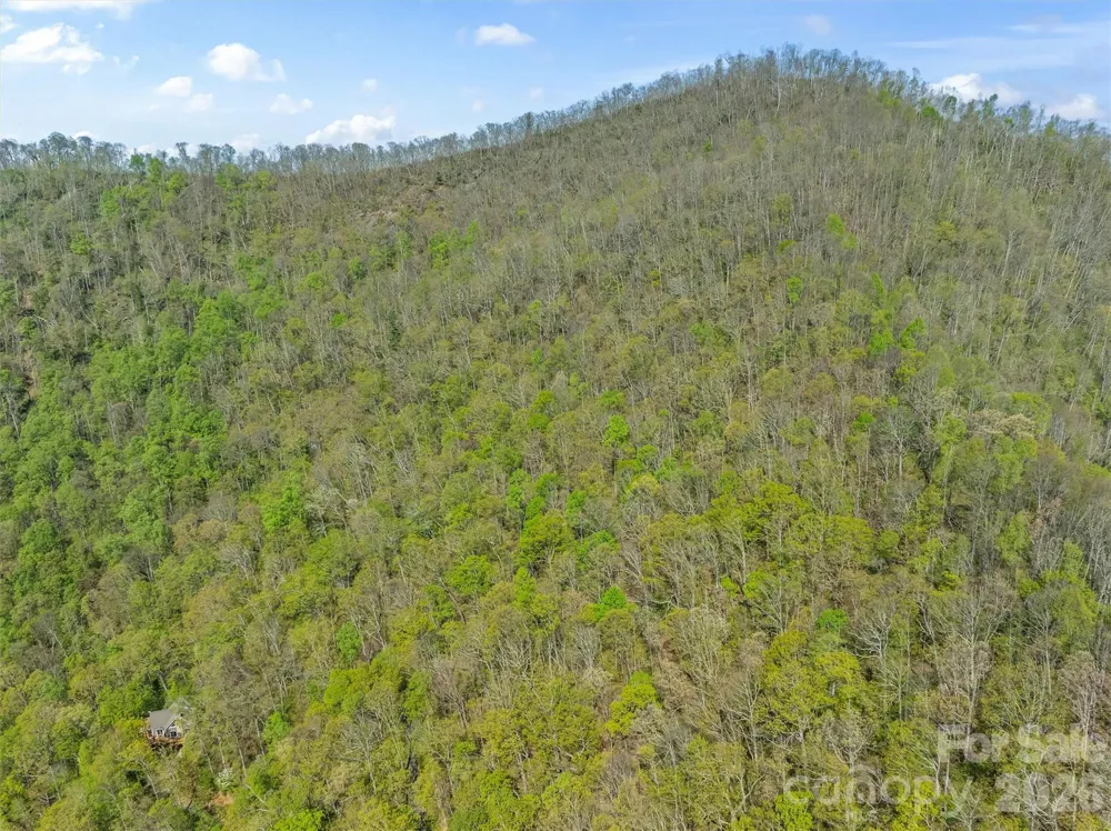 21 Reillys Bluff Road #1 Barnardsville, NC 28709