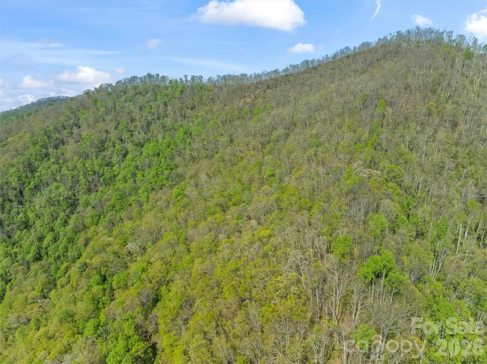 21 Reillys Bluff Road #1 Barnardsville, NC 28709
