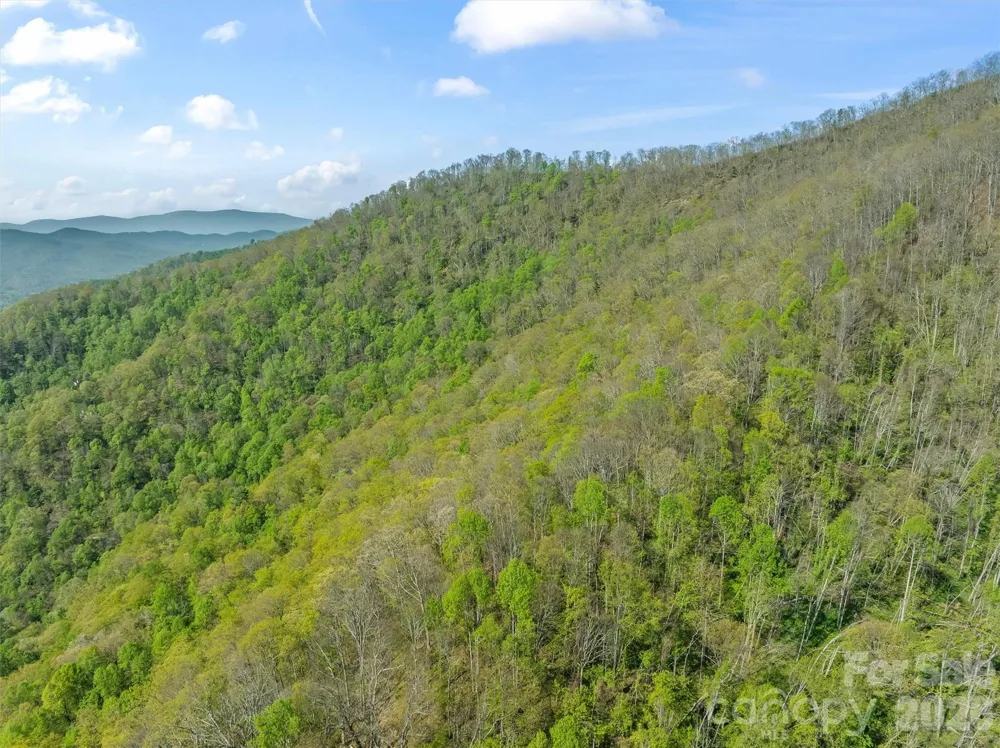 21 Reillys Bluff Road #1 Barnardsville, NC 28709