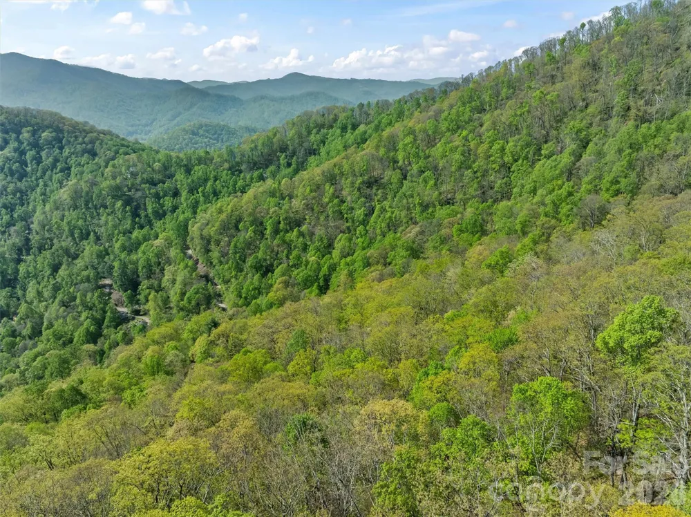 21 Reillys Bluff Road #1 Barnardsville, NC 28709
