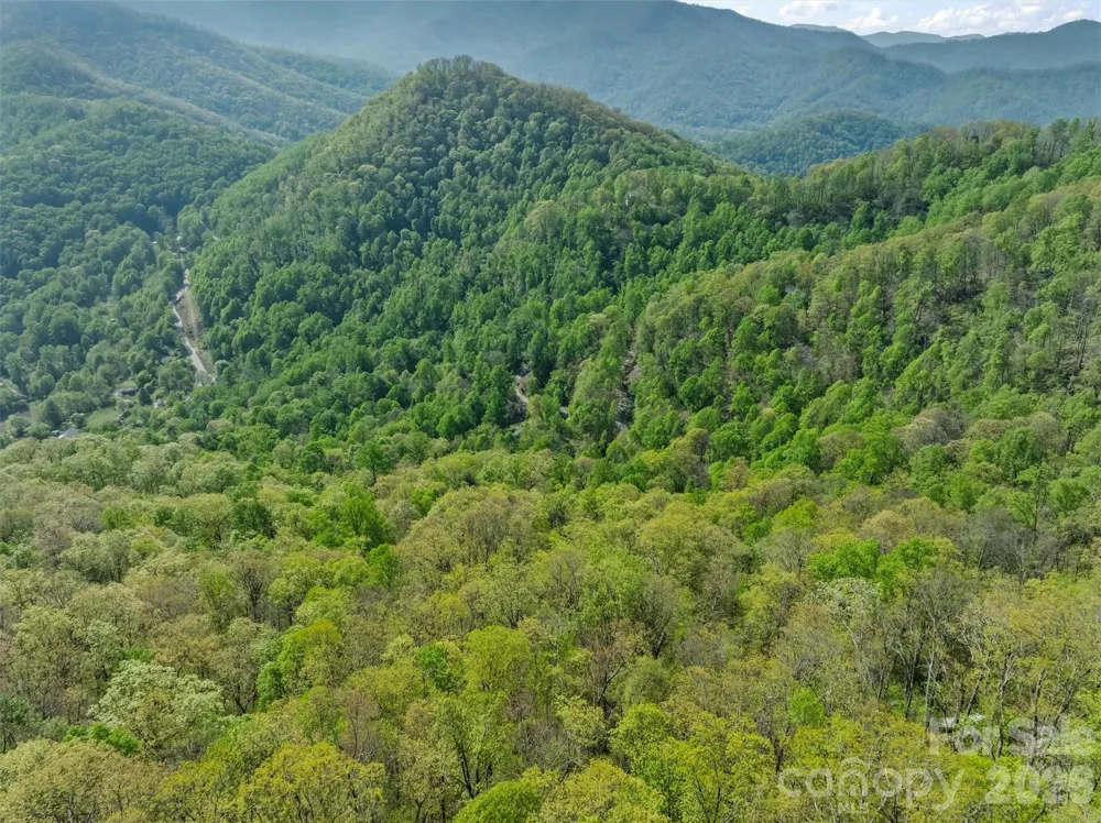 21 Reillys Bluff Road #1 Barnardsville, NC 28709