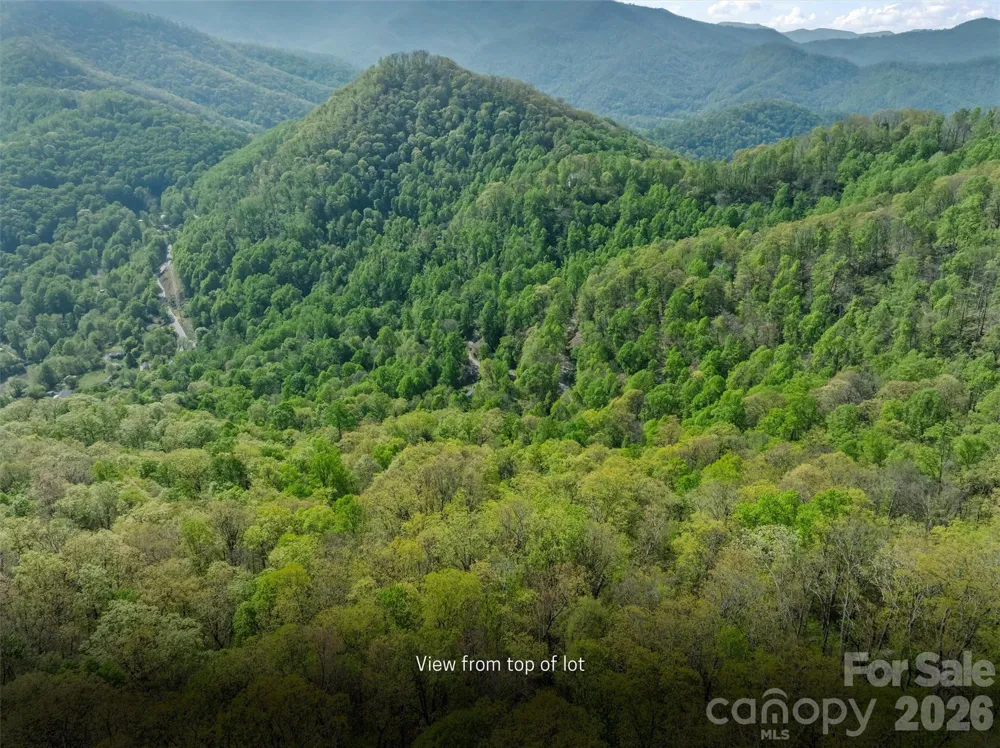 21 Reillys Bluff Road #1 Barnardsville, NC 28709