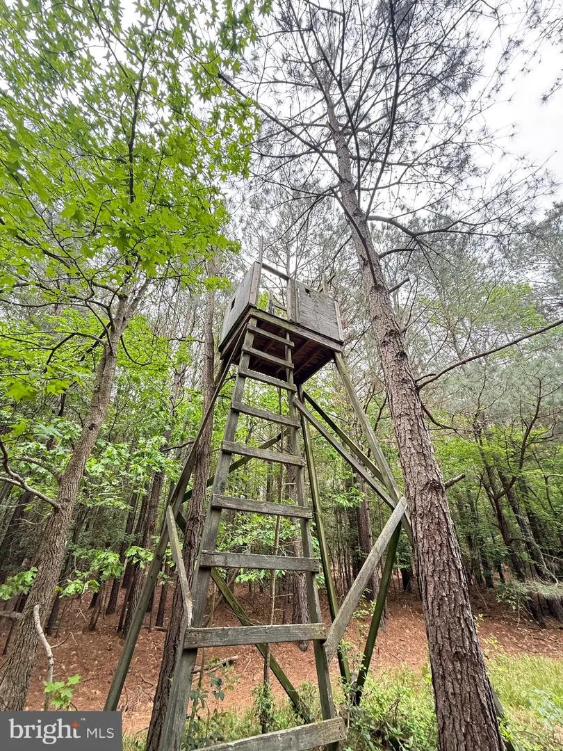 TAYLORS ISLAND RD Woolford, MD 21677