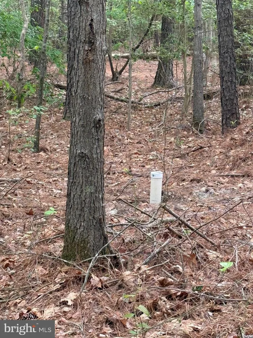 TAYLORS ISLAND RD Woolford, MD 21677