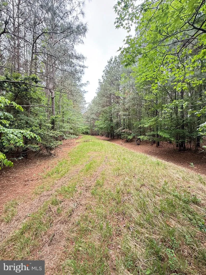 TAYLORS ISLAND RD Woolford, MD 21677