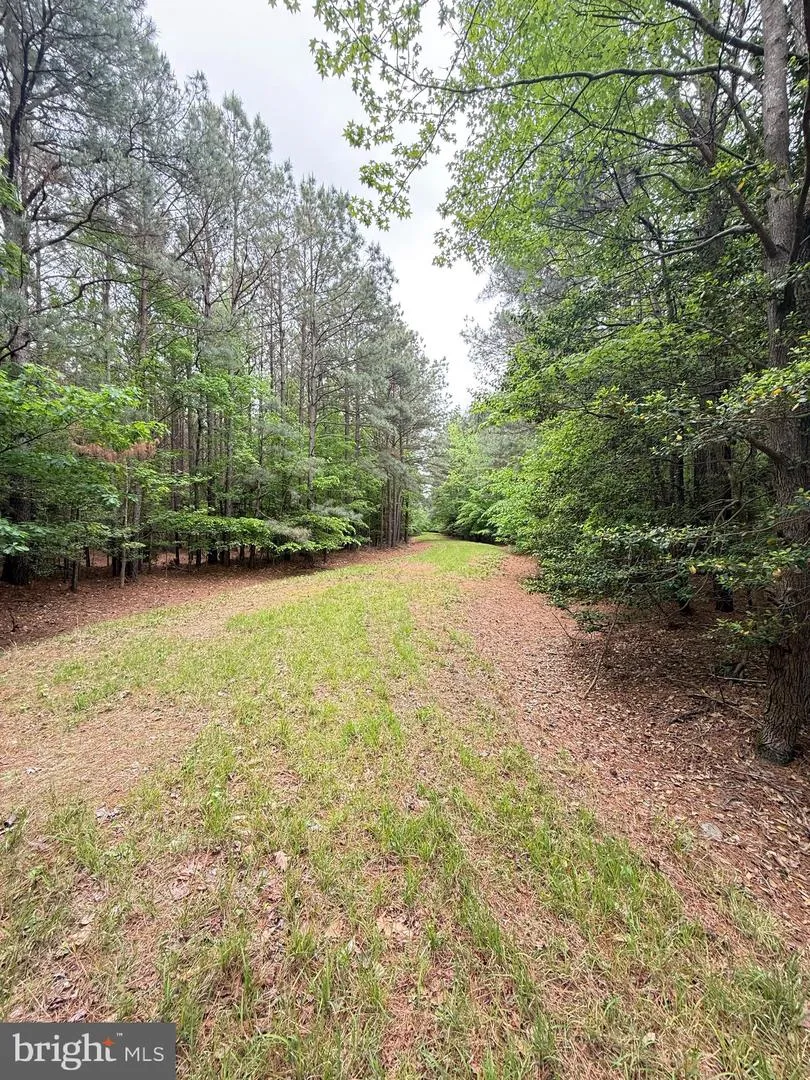 TAYLORS ISLAND RD Woolford, MD 21677