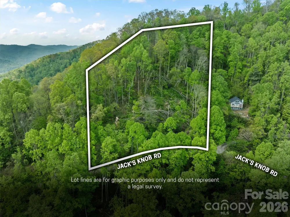 TBD Jacks Knob Road #49 Barnardsville, NC 28709