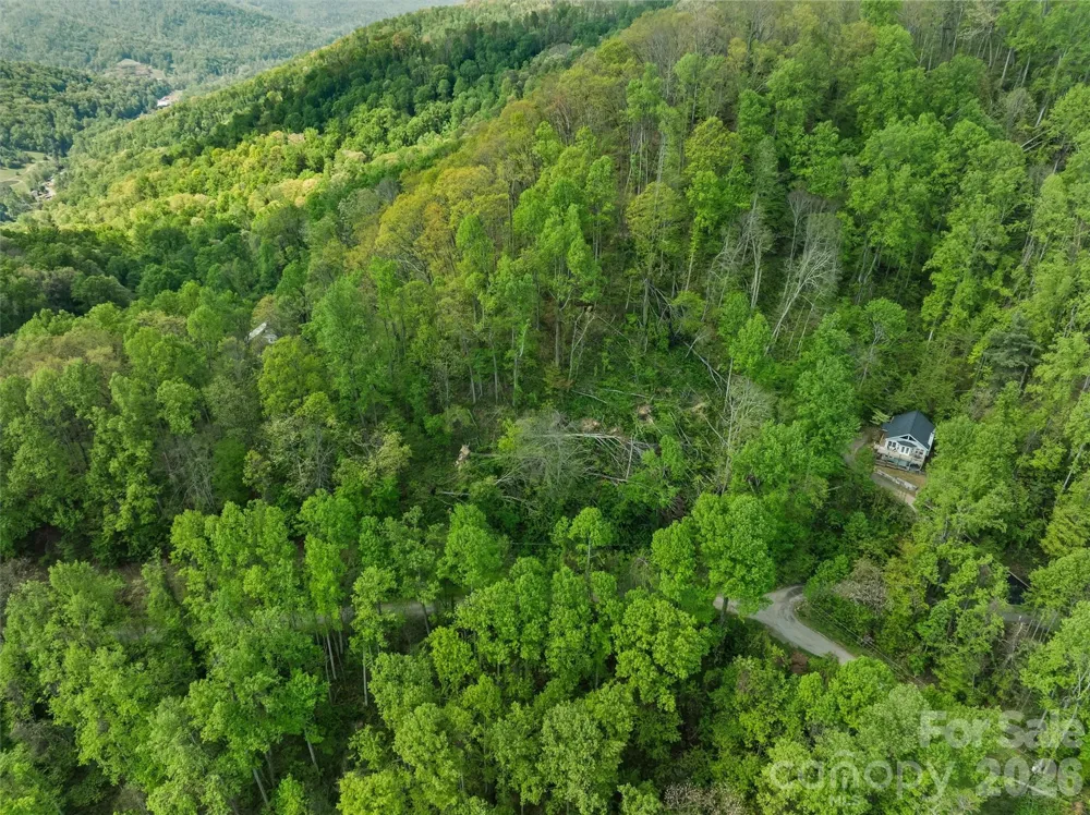 TBD Jacks Knob Road #49 Barnardsville, NC 28709