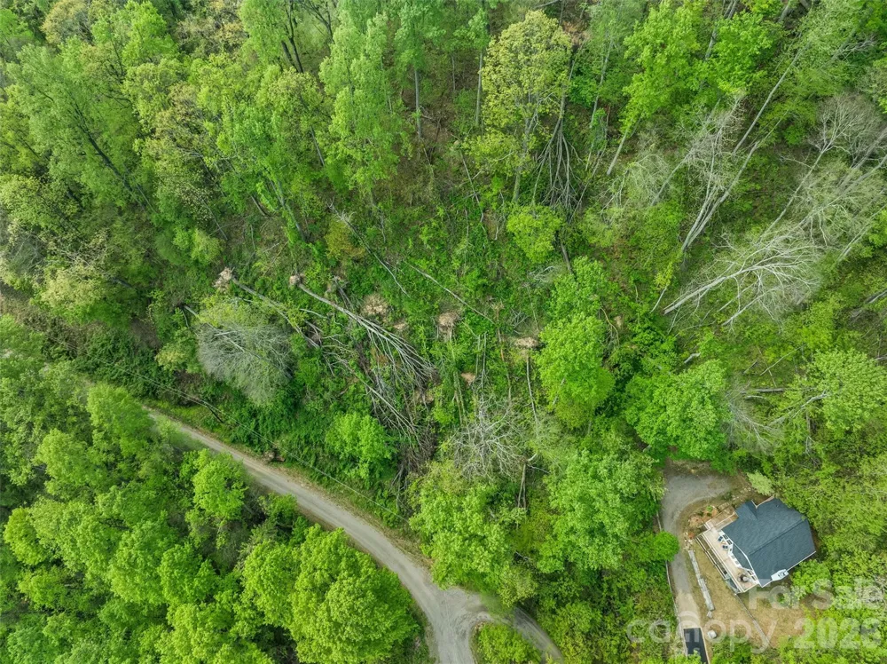 TBD Jacks Knob Road #49 Barnardsville, NC 28709