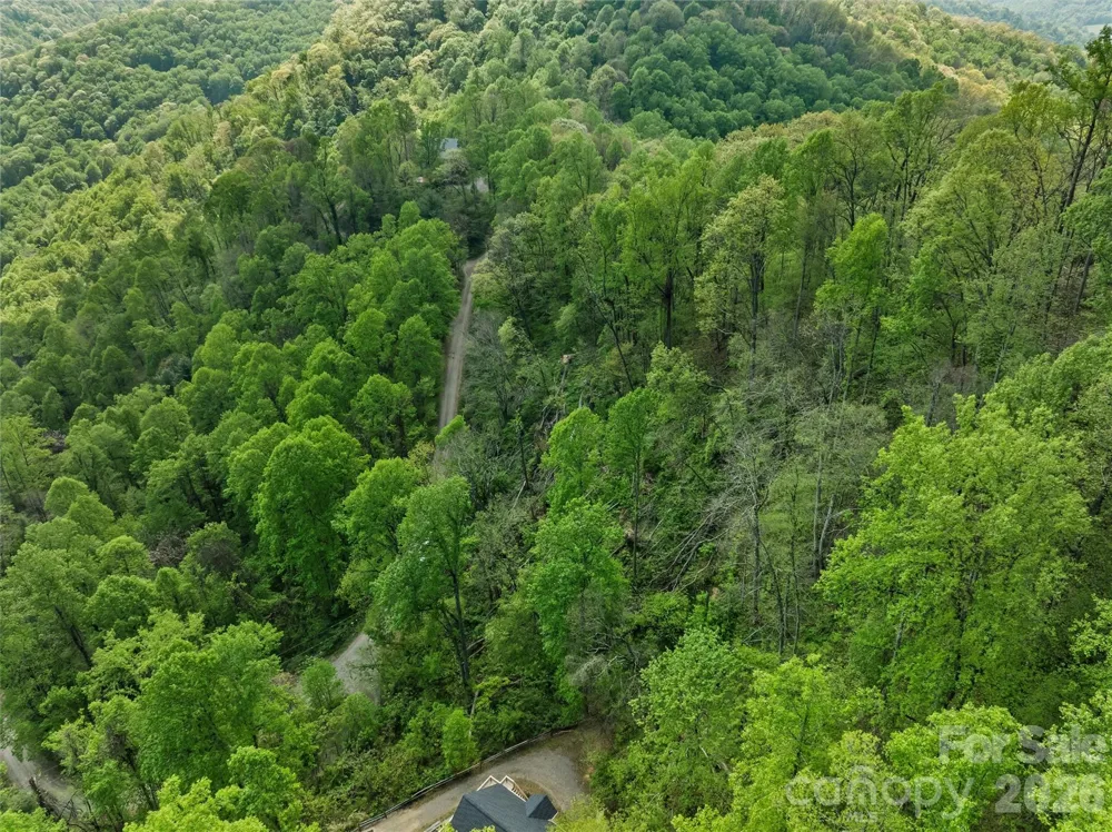 TBD Jacks Knob Road #49 Barnardsville, NC 28709