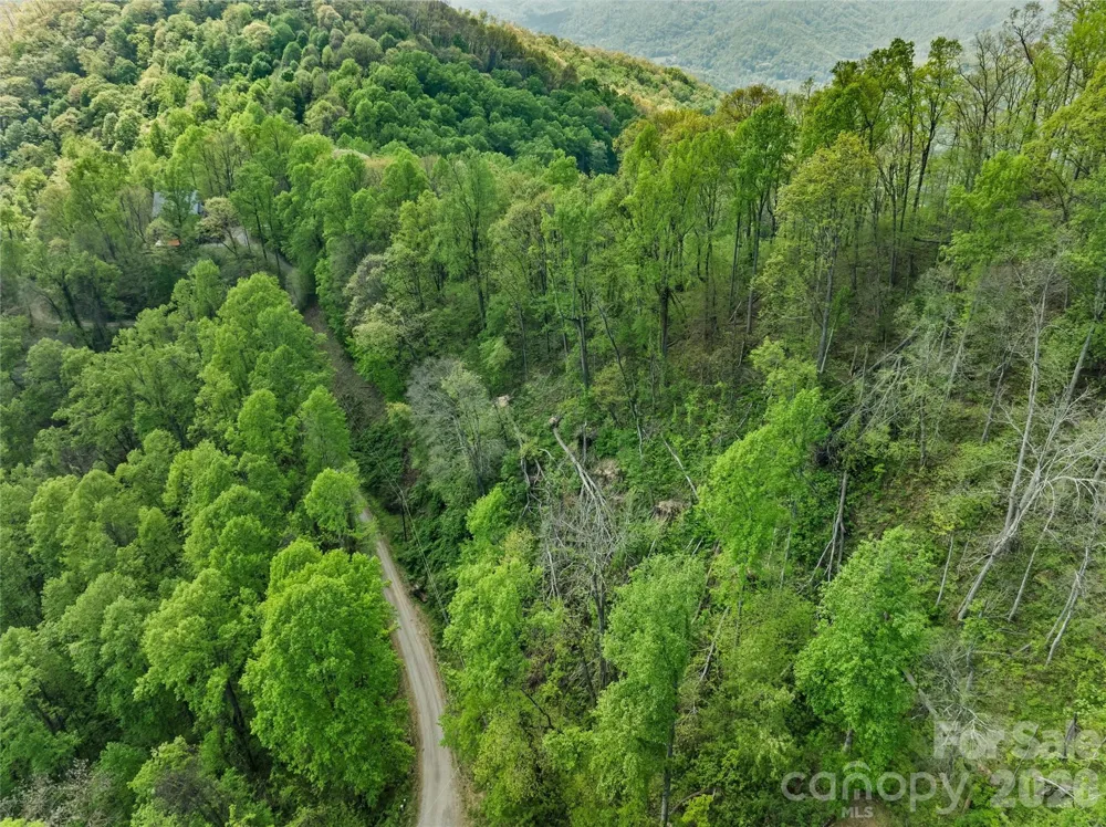 TBD Jacks Knob Road #49 Barnardsville, NC 28709
