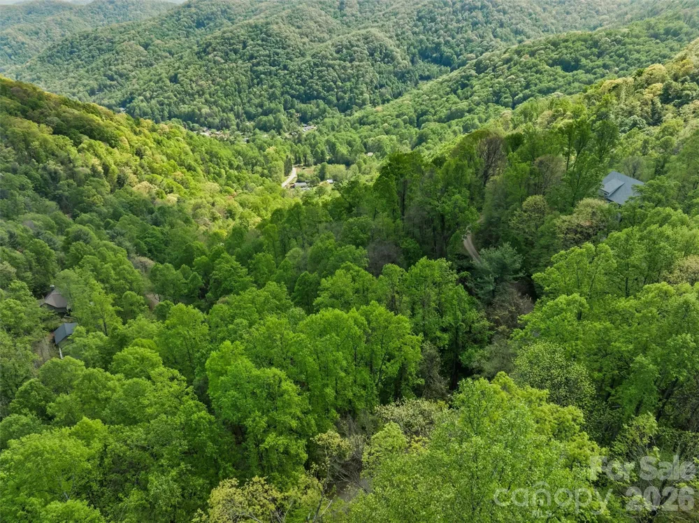 TBD Jacks Knob Road #49 Barnardsville, NC 28709